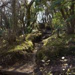 【悲報】上級国民さん、大雨の日に登山した結果 → 大変な目に遭ってしまう・・・