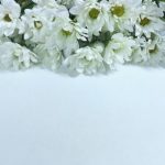 【訃報】アンビリバボーで活躍した陰陽師さん、変死体で発見される・・・