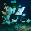 【衝撃画像】沖縄の海底洞窟でとんでもない生物が見つかる・・・・・