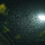 【超衝撃画像】台風の時に田んぼの様子を見に行った男さん、ガチで逝く・・・死亡画像あり・・・