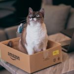 【超速報】Amazonさん、ついに重大な発表をしてしまう！！！！