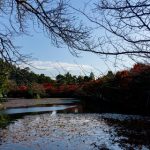 【超戦慄】世界遺産で『ガチで恐ろしい物』が発見されてしまう・・・・