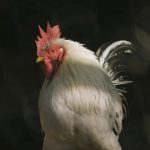 【超衝撃】茨城県で『異常事態』が発生してしまう・・・・・