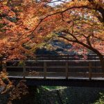 【超戦慄】 日本の川で『ガチでヤバイ事態』が発生してしまう・・・・