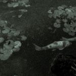 【驚愕】佐世保の保育園の給食、ビックリのメニューがこちらｗｗｗｗｗｗｗｗｗｗ