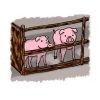 【訃報】千葉県の養豚場、見るも無残な姿になる・・・・・