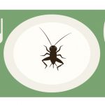 【昆虫食】中川翔子さん、まさかの掌返しｗｗｗｗｗｗｗｗｗ