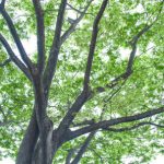 【マヂ⁉】日本さん、4月からすごいことが起きるぞ・・・