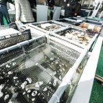 【速報】批判を浴びたコオロギ食、大逆転へwwwwwwwwww