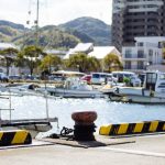 【訃報】軽トラックさん、悲惨な末路を迎える・・・・・