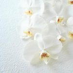 【訃報】岡田有希子さん飛び降り自殺「うつ伏せ写真」掲載の舞台裏がやばすぎ・・・