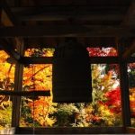 【斬新】名古屋市のお寺さん、ユニークな新サービスを始める！！！