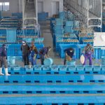 【大悲報】日本の漁業、ガチでヤバイ状態になってしまう・・・・・