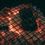 【超衝撃】バーベキューをしたDQNさん、変わり果てた姿で発見される・・・