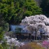 【超衝撃】奈良県の神社さん、重大発表キタァアアアアーーーーー！！！！！