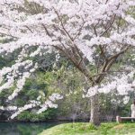 【超衝撃】佳子さま、ガチでヤバイ事実が判明してしまう！！！！