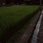 【超恐怖】田舎から若者達が出て行く原因、ガチでヤバイぞ・・・・・・