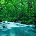 【超悲惨】青森県の山で『衝撃的な事件』が発生してしまう・・・・