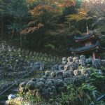 【超驚愕】京都の雑木林で『ガチで恐ろしい物』が発見されてしまう・・・・