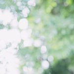 【唖然】中国人さん、日本の公園で大暴れｗｗｗｗｗｗｗｗｗｗ
