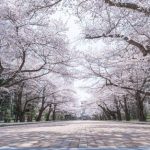 【衝撃】日本で『ガチでヤバイ大学』が爆誕してしまう!!!!!