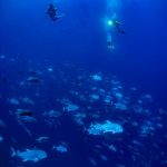 【超ド級速報】ミッドウェー海戦で沈没した空母「赤城」を確認 → 驚きの事実発覚・・・