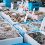 【超衝撃】日本の海産物、ガチでヤバイ事実が判明する!!!!!