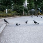 【日本終了】検察事務官さん、ガチでヤバい事をしてしまう・・・