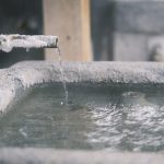 【速報】ペルーで『とんでもない生物』が発見されてしまう！！！！！