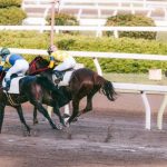【超衝撃】競馬、とんでもない事実が判明してしまう・・・・・