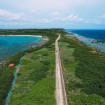 【超速報】沖縄の道路に『とんでもない物』が出没してしまう!!!!!