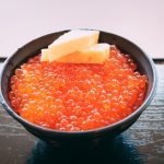 【衝撃画像】『なか卯』、ガチでヤバイ丼を出してしまう！！！！！
