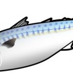 【速報】海なしの埼玉県さん、ついに本気を出すｗｗｗｗｗｗｗｗｗｗ