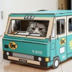 【重大発表】ヤマト運輸さん、緊急のお知らせ・・・
