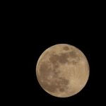 【超速報】JAXA、重大発表キタァアアアアアーーーーー！！！！！