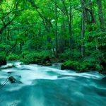 【勝ち組】青森県の観光地、スゴイ事になってるｗｗｗｗｗｗｗｗｗ