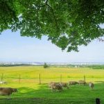 【超戦慄】北海道の牧場で『ガチで恐ろしい事態』が発生してしまう！！！！
