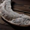 【超衝撃】インドで発見された『化石』、ガチでヤバイ事実が判明する！！！！！！