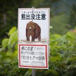 【ヒグマ騒動】北海道の奈井江町、『重大発表』キタァアアアアーーーーー！！！！！