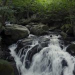 【超速報】鹿児島県で『とんでもない物』が発見されてしまう・・・