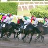 【天国から地獄】競馬で大勝ちした男性、まさかの展開に・・・