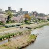 【マヂかよ】人気観光地の京都さん、驚きの現在がこちらｗｗｗｗｗｗｗ