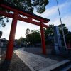 【超衝撃】神社で『とんでもない事故』が発生してしまう！！！！！