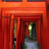 【日本終了】外国人インスタグラマー達、日本の神社で『とんでもない事』をしてしまう！！！！！