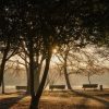 【超衝撃】東京の大久保公園、ガチで『ヤバイ状態』になってしまう・・・・