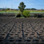 【超衝撃】茨城県の畑で『恐ろしい事件』が発生してしまう・・・・