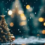 【超悲報】クリスマス、ガチで逝くｗｗｗｗｗｗ