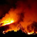 【ロス山火事】YOSHIKI達、『緊急発表』キタァアアアアーーーーー！！！！！！