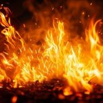【超悲報】東京の墨田区で『異常事態』が発生してしまう！！！！！