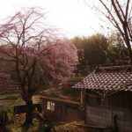 【速報】長嶋一茂さん、『意外な事実』を暴露してしまう・・・・・